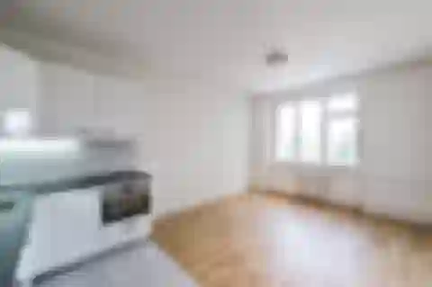 Hollarovo náměstí, Vinohrady - Prague 3 | Rent, Apartment, One-bedroom (2+1), 74 m²