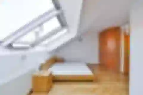 Mánesova, Vinohrady - Praha 2 | Prenájom, Byt, 3-izbový, 134 m²