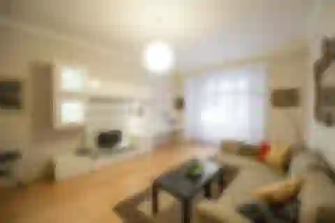 Janovského, Holešovice - Prague 7 | Rent, Apartment, One-bedroom (2+1), 82 m²