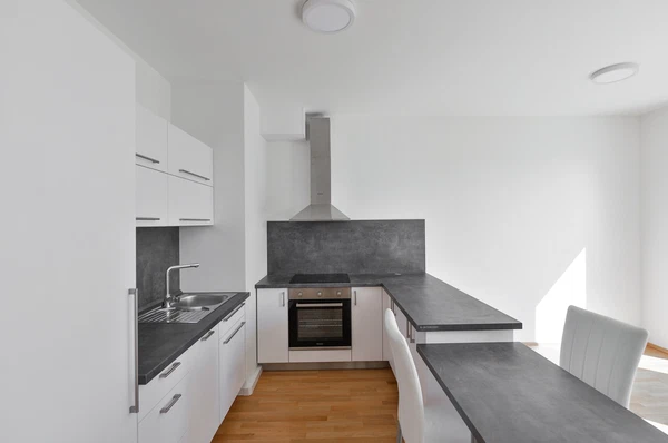 V Háji, Holešovice - Prague 7 | Rent, Apartment, One-bedroom (2+kk), 51 m²