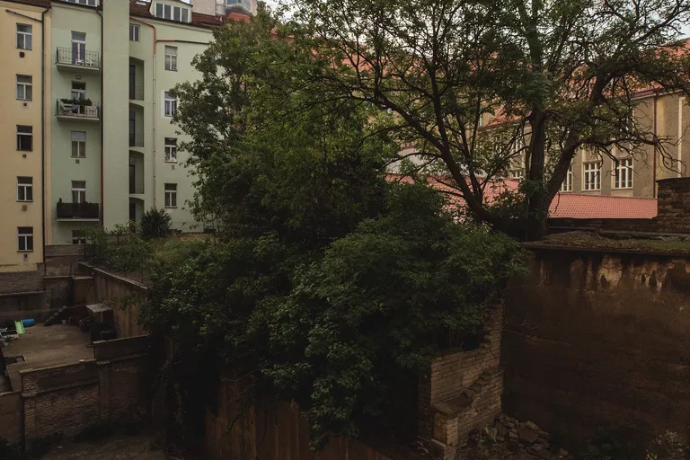 Čajkovského, Žižkov - Praha 3 | Pronájem, Byt, 2+kk, 47 m²