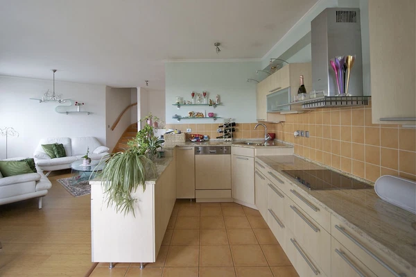 Divišovská, Chodov - Prague 4 | Sale, Apartment, Four-bedroom (5+kk), 175 m²