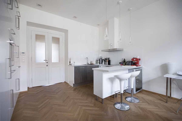 Jaselská, Bubeneč - Prague 6 | Rent, Apartment, One-bedroom (2+kk), 67 m²