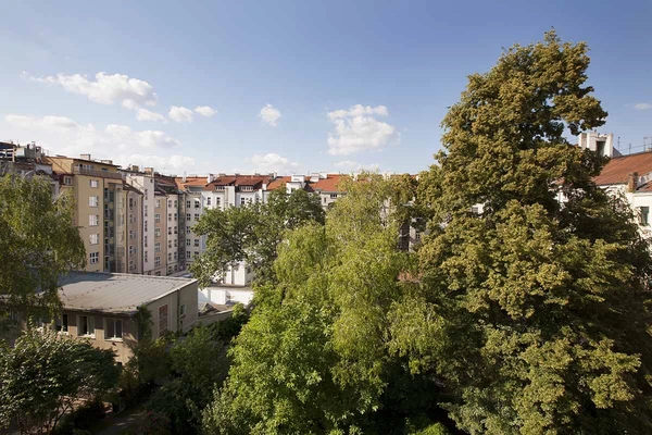 Jaselská, Bubeneč - Prague 6 | Rent, Apartment, One-bedroom (2+kk), 67 m²