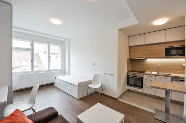 Řipská, Vinohrady - Praha 3 | Pronájem, Byt, 1+kk, 24 m²