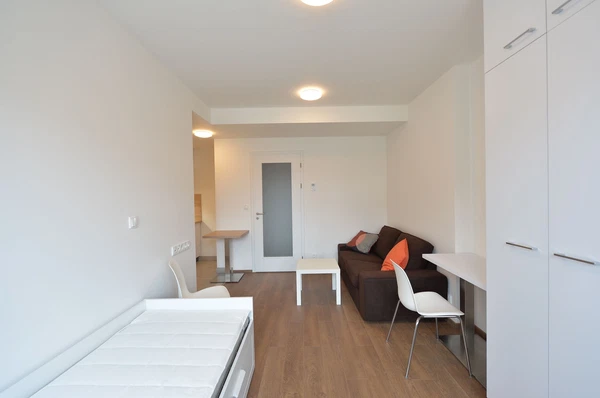 Řipská, Vinohrady - Praha 3 | Pronájem, Byt, 1+kk, 24 m²