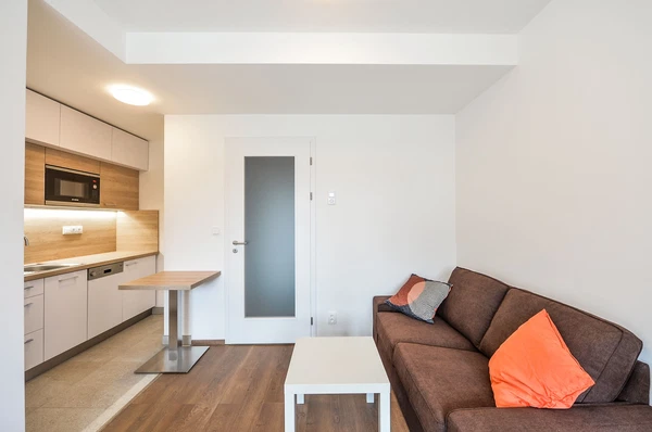 Řipská, Vinohrady - Praha 3 | Pronájem, Byt, 1+kk, 24 m²