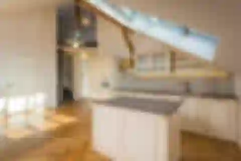 Wenzigova, Vinohrady - Prague 2 | Sale, Apartment, Two-bedroom (3+kk), 145 m²