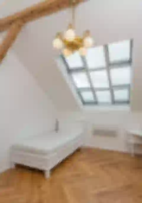 Wenzigova, Vinohrady - Prague 2 | Sale, Apartment, Two-bedroom (3+kk), 145 m²