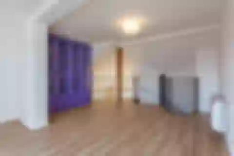 Wenzigova, Vinohrady - Prague 2 | Sale, Apartment, Two-bedroom (3+kk), 145 m²