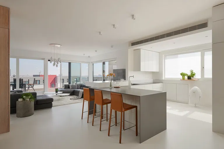 U Dívčích hradů, Radlice - Prague 5 | Sale, Apartment, Four-bedroom (5+kk), 348 m²