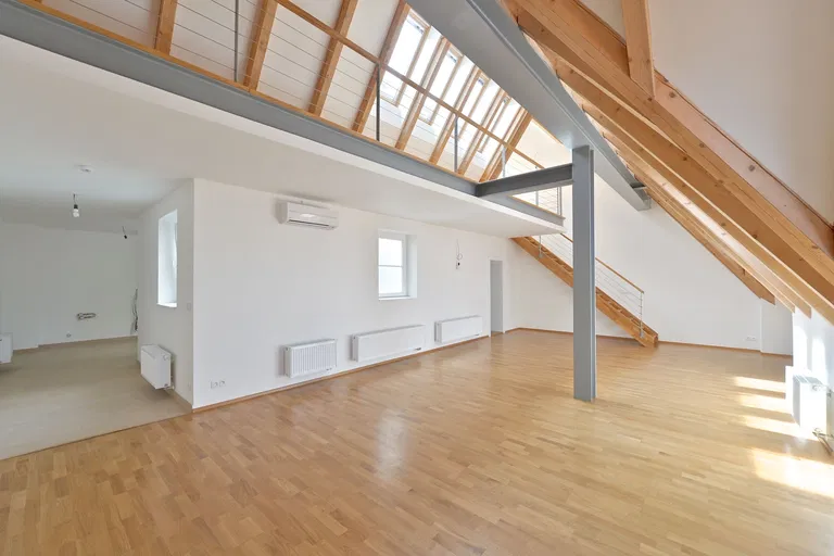 Biskupská, Brno - střed - Brno-město | Sale, Apartment, Studio (1+kk), 136 m²