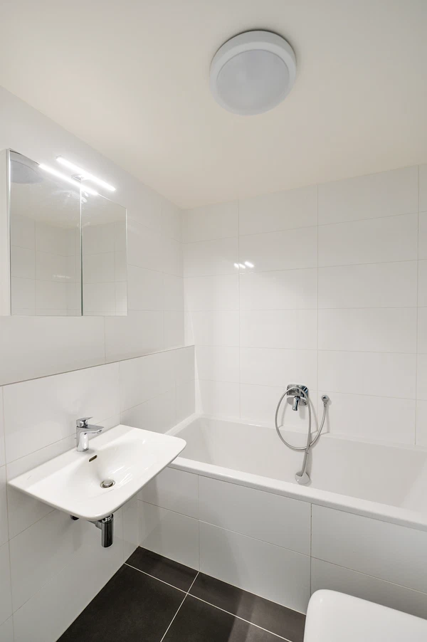 Sanderova, Holešovice - Praha 7 | Pronájem, Byt, 1+kk, 42 m²