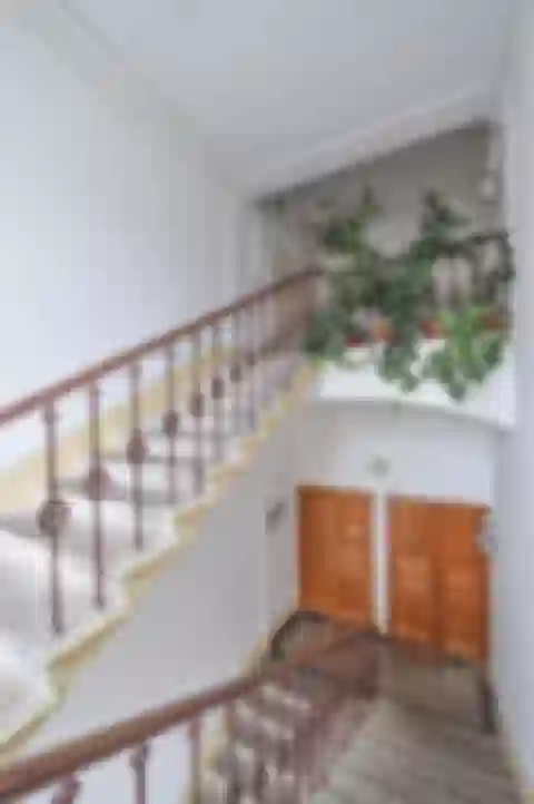 Salmovská, Nové Město - Prague 2 | Rent, Apartment, Four-bedroom (5+kk), 246 m²