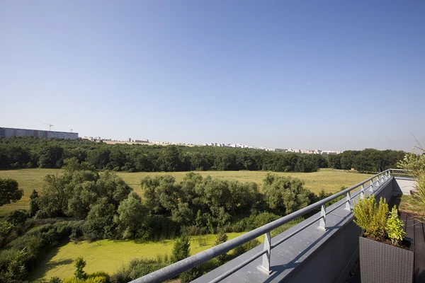 Mattioliho, Záběhlice - Prague 10 | Sale, Apartment, Three-bedroom (4+1), 313 m²