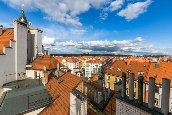 Wuchterlova, Dejvice - Prague 6 | Rent, Apartment, Three-bedroom (4+kk), 155 m²