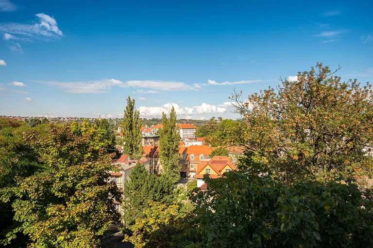 Pod Kaštany, Dejvice - Prague 6 | Sale, Apartment, Four-bedroom (5+kk), 190 m²