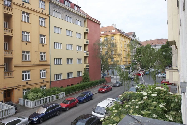 Raisova, Bubeneč - Prague 6 | Sale, Apartment, Three-bedroom (4+1), 153 m²