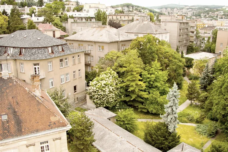 Fraňa Kráľa, Staré Mesto - Bratislava I | Sale, Apartment building, 1035 m²
