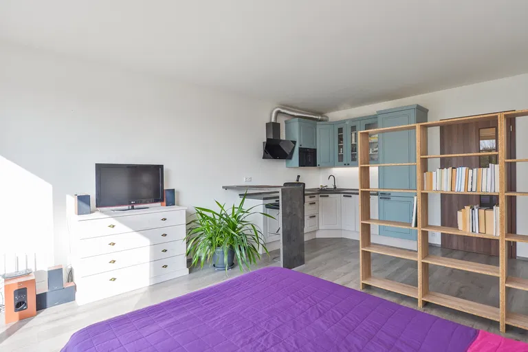 Olgy Havlové, Žižkov - Praha 3 | Predaj, Byt, 1-izbový, 48 m²