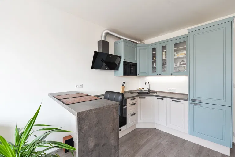 Olgy Havlové, Žižkov - Praha 3 | Predaj, Byt, 1-izbový, 48 m²