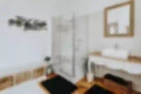 Křenová, Brno - střed - Brno-město | Sale, Apartment, Four-bedroom (5+kk), 270 m²