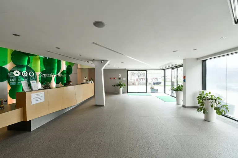 Pitterova - Praha 3 | Predaj, Byt, 1-izbový, 52 m²