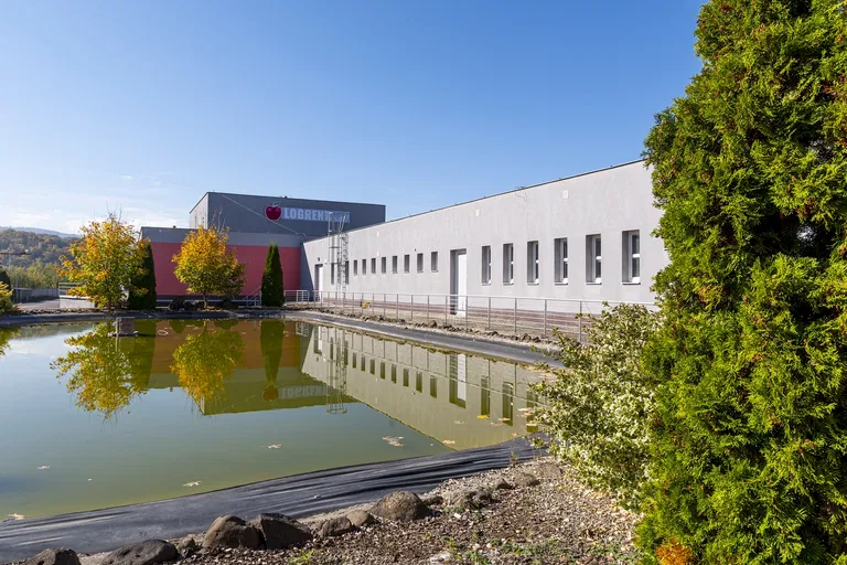 Zvolenská, Vígľaš - Detva | Sale, Industrial park