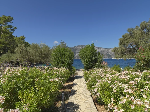 Greece, Ionian Islands - Ithaca | Sale, Land, Eight-bedroom (9+kk), 848 m²