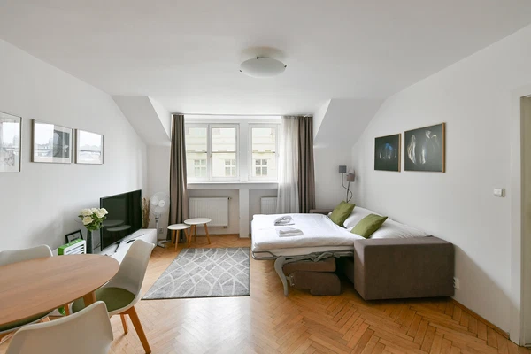 Senovážné náměstí, Nové Město - Prague 1 | Sale, Apartment, One-bedroom (2+1), 47 m²