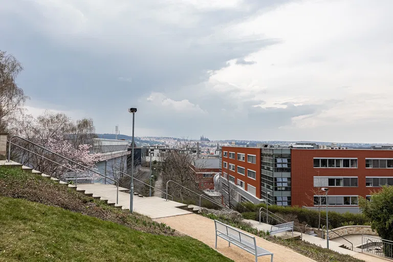 Vlkova, Žižkov - Prague 3 | Rent, Apartment, One-bedroom (2+kk), 41 m²