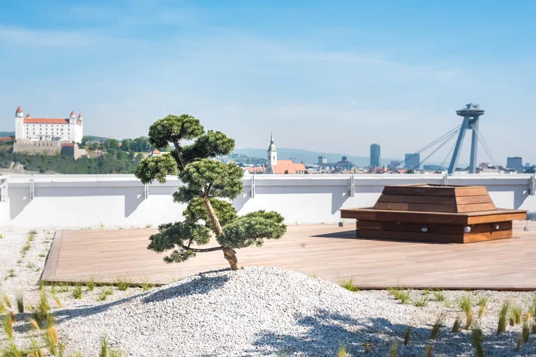 Einsteinova, Petržalka - Bratislava V | Prenájom, Obchodný priestor, 123 m²