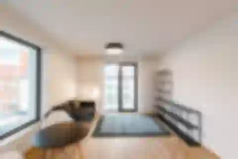 Pernerova, Karlín - Prague 8 | Rent, Apartment, One-bedroom (2+kk), 62 m²