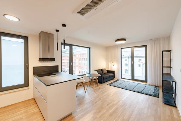 Pernerova, Karlín - Prague 8 | Rent, Apartment, One-bedroom (2+kk), 62 m²