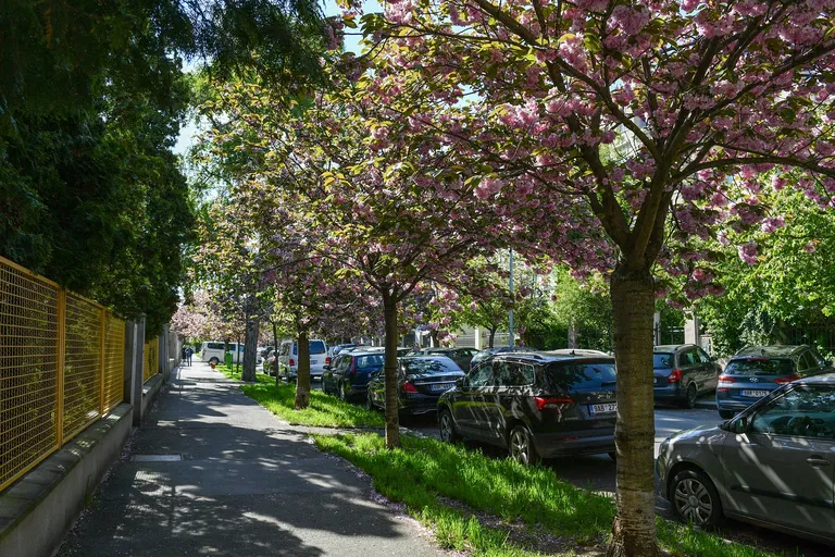 Dykova, Vinohrady - Praha 10 | Pronájem, Byt, 2+kk, 84 m²