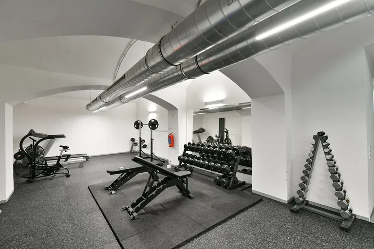 Janáčkovo nábřeží, Malá Strana - Prague 5 | Rent, Apartment, Six-bedroom (7+kk), 605 m²