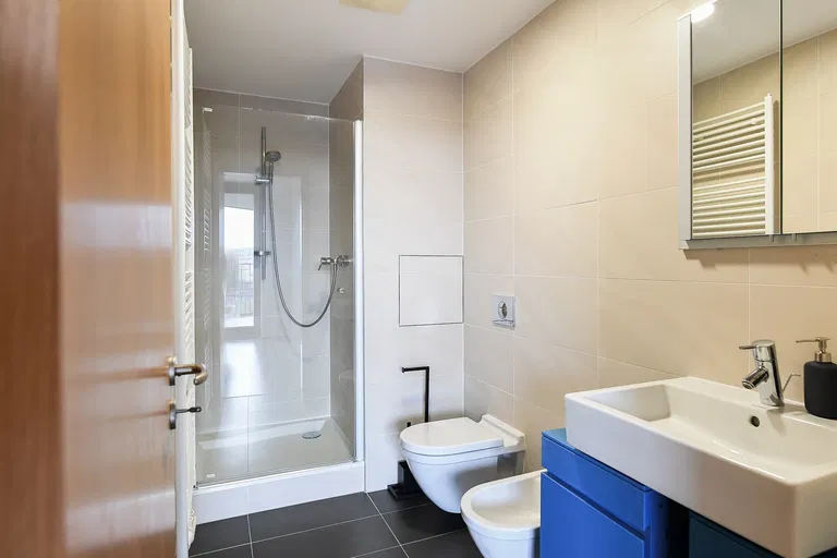 Malešická, Žižkov - Prague 3 | Rent, Apartment, Two-bedroom (3+kk), 129 m²