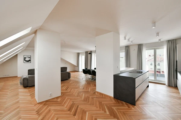 Nekázanka, Nové Město - Prague 1 | Sale, Apartment, Three-bedroom (4+kk), 242 m²