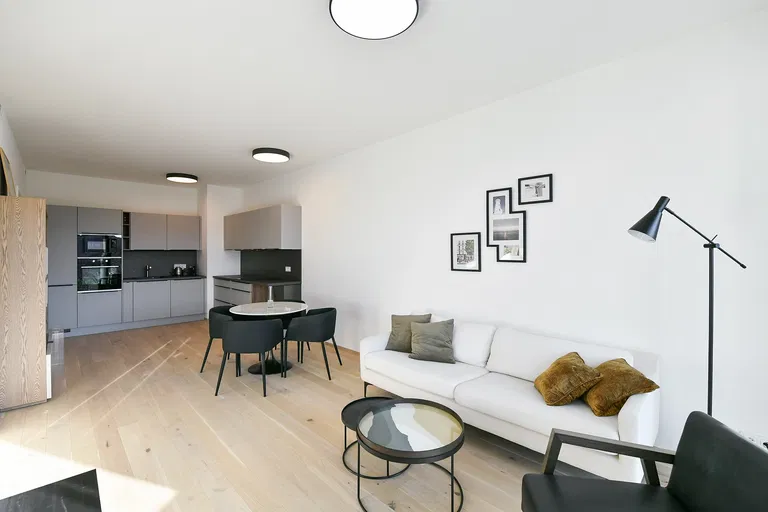 Vítězné náměstí, Bubeneč - Prague 6 | Rent, Apartment, One-bedroom (2+kk), 73 m²