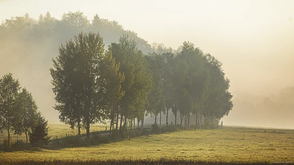 Český les, Bělá nad Radbuzou - Domažlice | Prodej, Pozemek, 63 649 m²