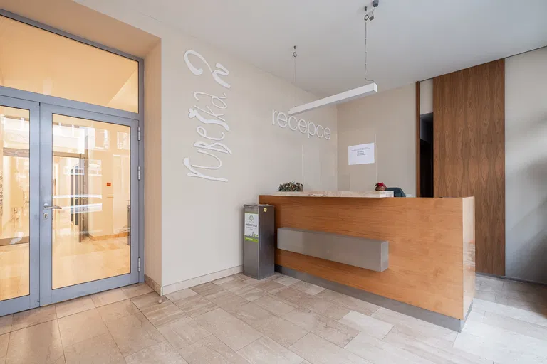 Paříkova, Vysočany - Prague 9 | Rent, Apartment, Three-bedroom (4+kk), 245 m²