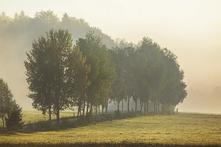 Český les, Bělá nad Radbuzou - Domažlice | Sale, Land, 63 649 m²