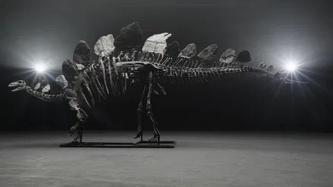 Jurské ikony: Vzácne kostry dinosaurov vydražené za milióny