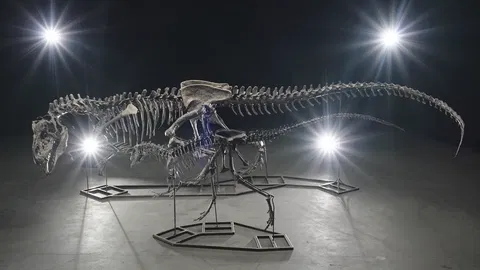 Jurské ikony: Vzácne kostry dinosaurov vydražené za milióny