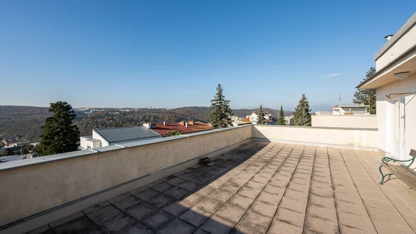 Rezkova, Brno-střed - Brno-město | Sale, House, Nine-bedroom (10+1), 473 m²