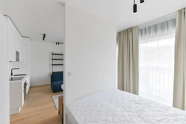 U Lihovaru, Smíchov - Prague 5 | Rent, Apartment, Studio (1+kk), 43 m²