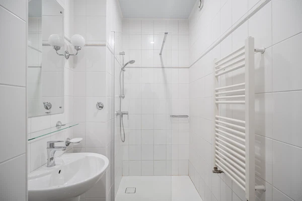 Dřevná, Nové Město - Prague 2 | Rent, Apartment, One-bedroom (2+kk), 48 m²