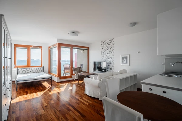 Antala Staška, Krč - Prague 4 | Rent, Apartment, Studio (1+kk), 41 m²